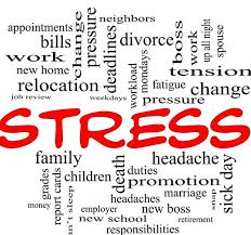 stress是什么意思