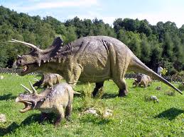 triceratops是什么意思