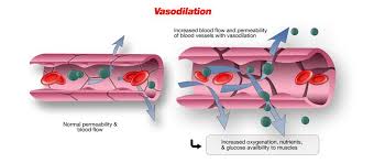 vasodilation是什么意思