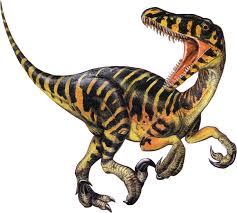 velociraptor是什么意思