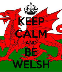 Welsh是什么意思
