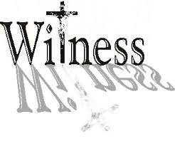 witness是什么意思